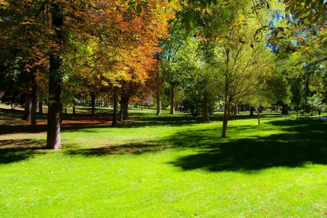 V Velenju odpirajo Park državnosti