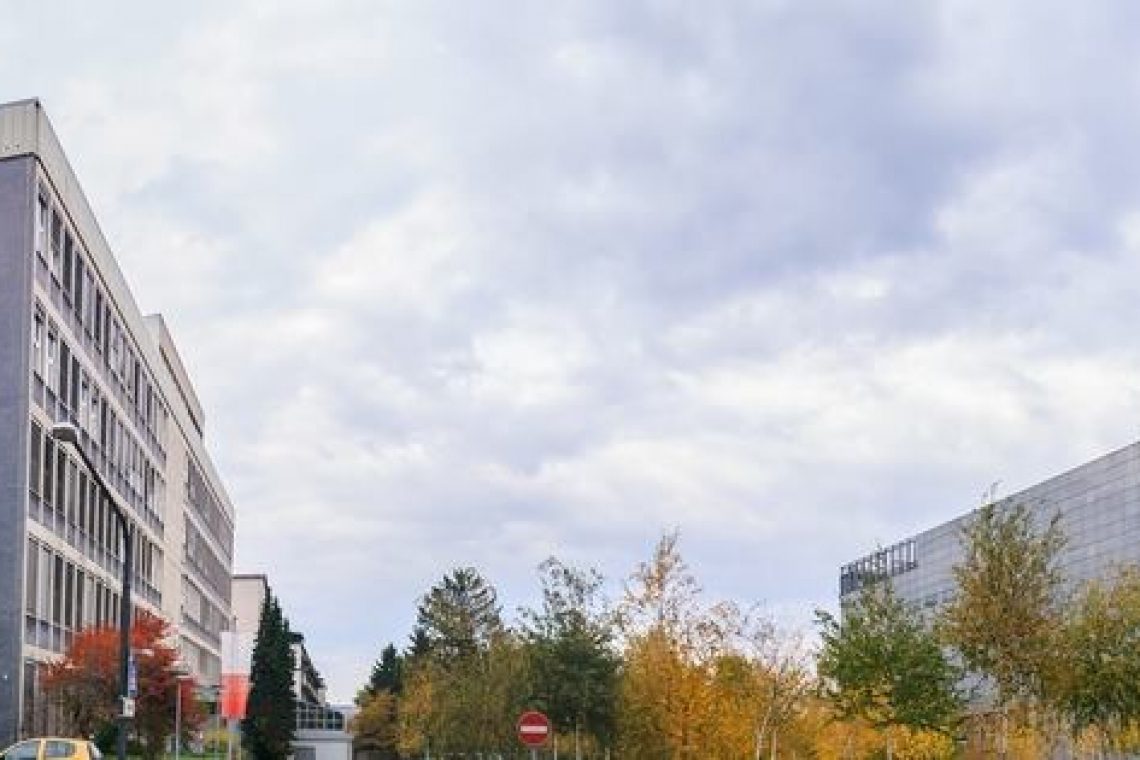 Matematik Bojan Mohar pridobil ERC projekt na temo kraških vodotokov