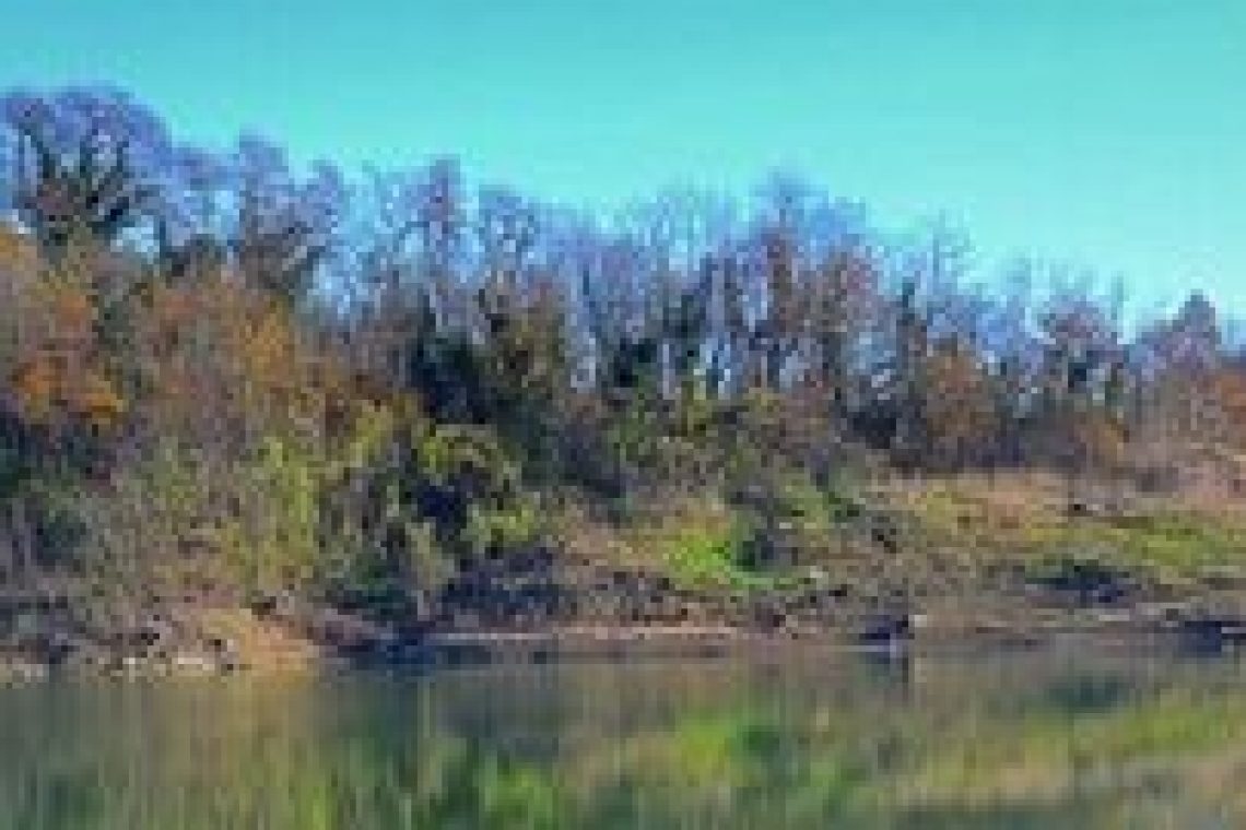 Uporabnikom Vogrščka letos ne bo treba plačati nadomestila