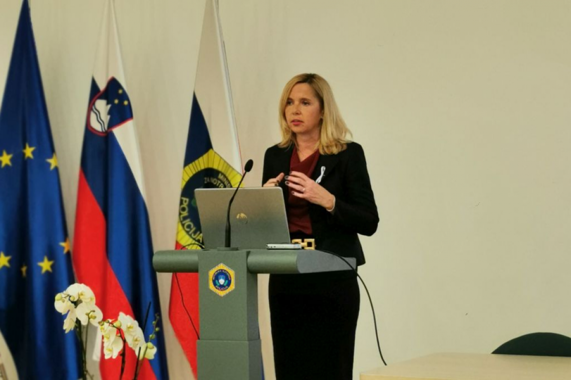 Analitik Pengov Bitenc: Vlada si je s konfliktom z Bobnarjevo sama odkrušila zaupanje javnosti vanjo