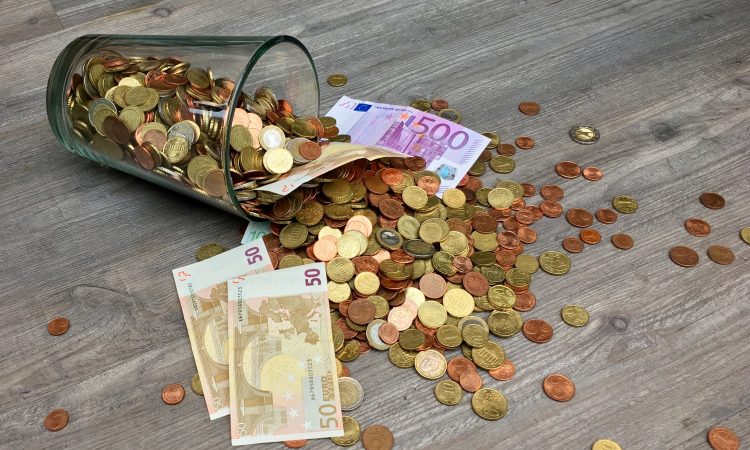V Novem mestu za organizacije in posameznike s posebnim statusom razpisali 1,5 milijona evrov podpore