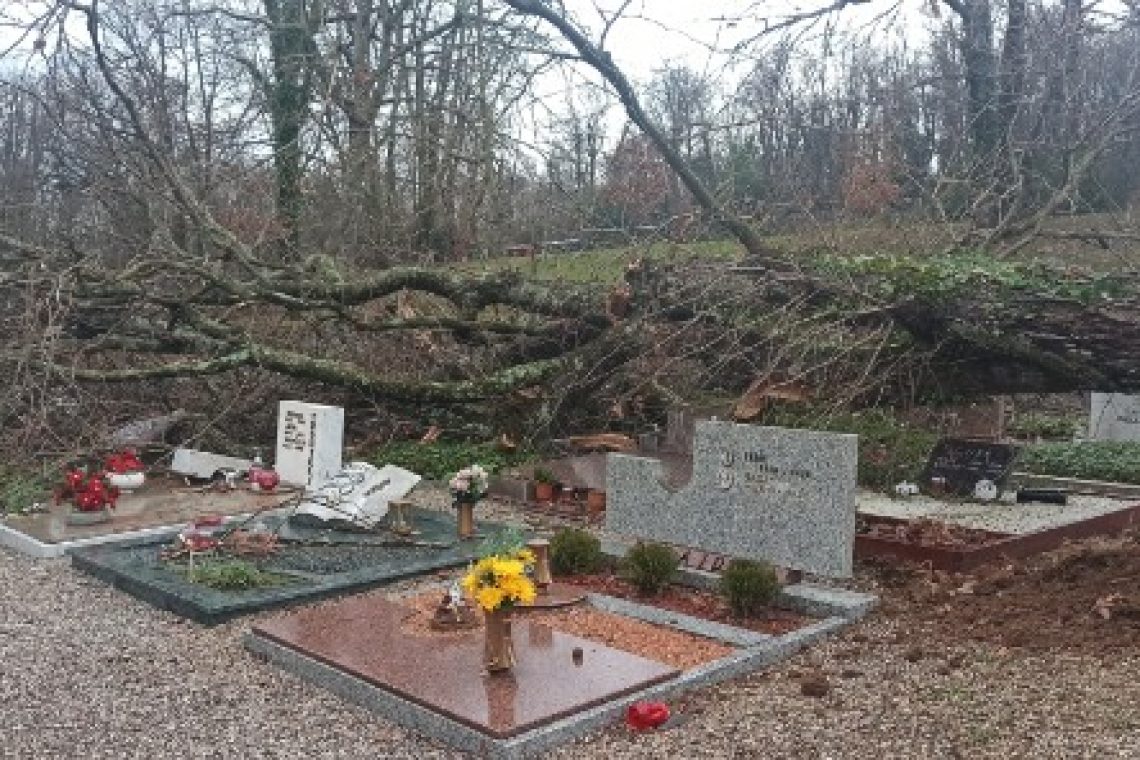 Na Goriškem številne težave zaradi močne burje