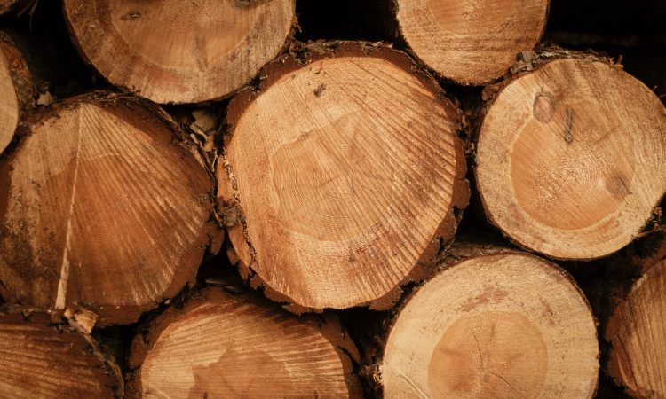 Podpisali še zadnje pogodbe za 85-milijonske naložbe v lesnopredelovalni panogi