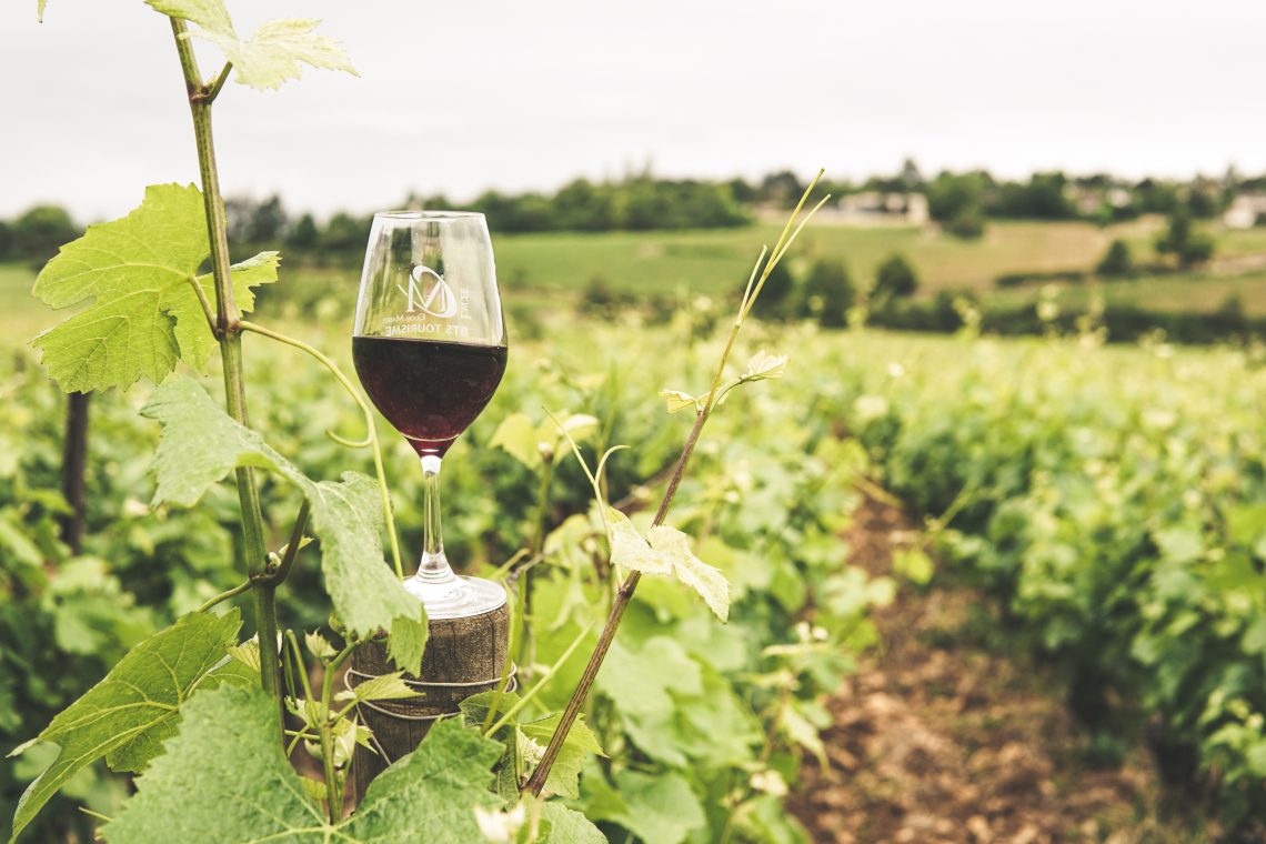 Na vinogradniško-vinarskem kongresu na Ptuju o prihodnosti panoge