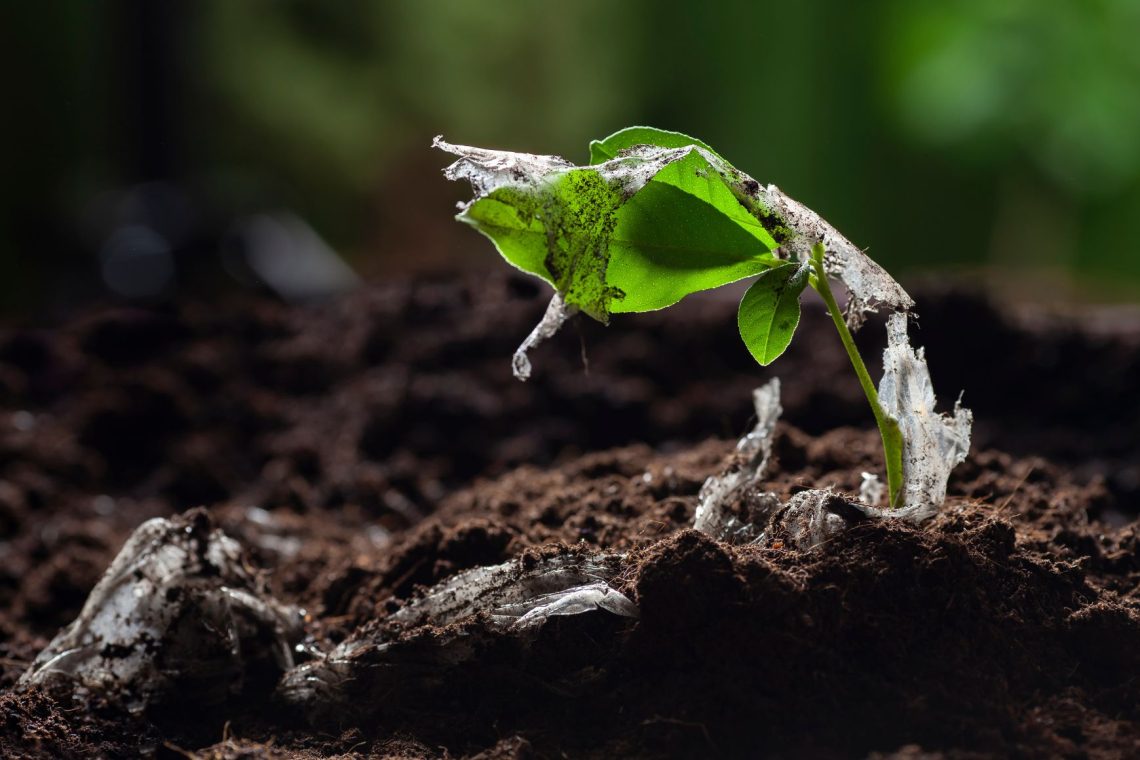 Svetovni dan Zemlje v znamenju pozivov k življenju brez plastike