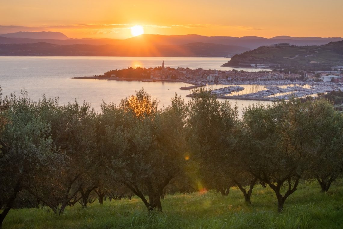 Izola ponovno zlata