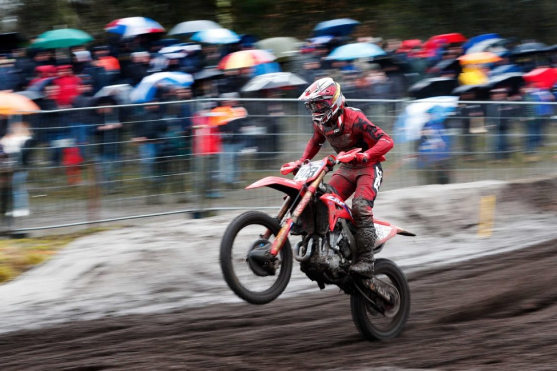 Herlings zmagovalec Lommla, Gajser četrti