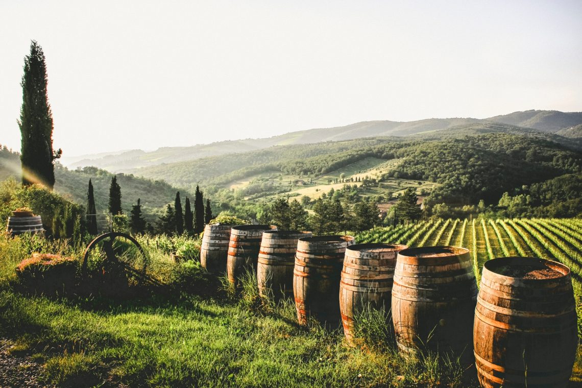 Vinogradniki morajo prijaviti zaloge vina