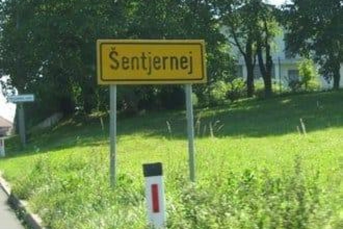 Na shodu v Šentjerneju zahteve po odstopu ravnatelja in resnem ukrepanju države glede romskih vprašanj 