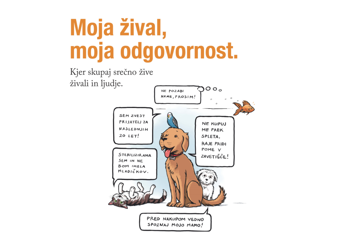 Svetovni dan živali: Ozaveščanje o odgovornosti do živali in izboljšanju njihove dobrobiti