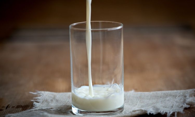 Uživanje mleka lahko poveča tveganje za srčne bolezni, zlasti pri ženskah