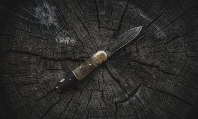 Na osnovni šoli v Zagrebu v napadu z nožem ranjenih več otrok