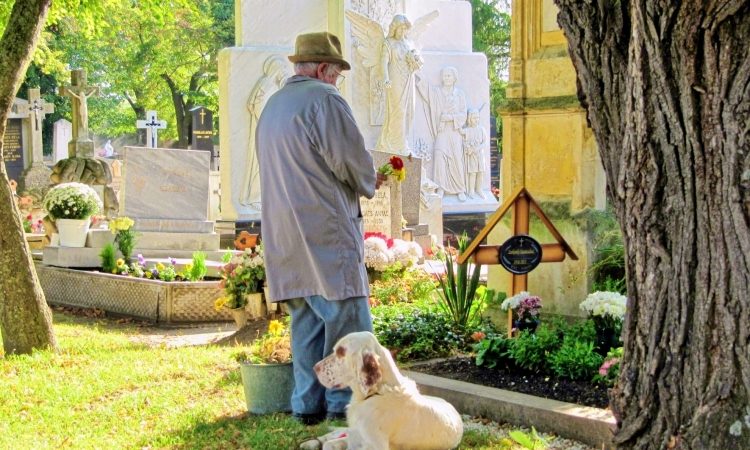 Milan uvedel možnost skupnega pokopa hišnih ljubljenč