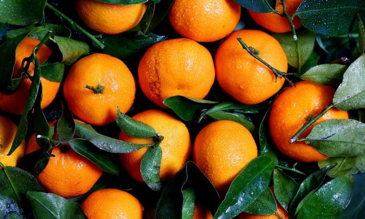 Pomaranče so bogastvo vitaminov in antioksidantov