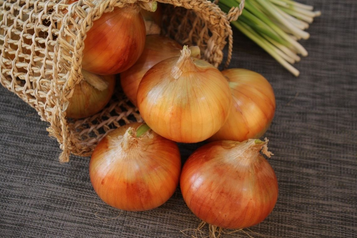 Veste kako je najbolje shranjevati čebulo? 