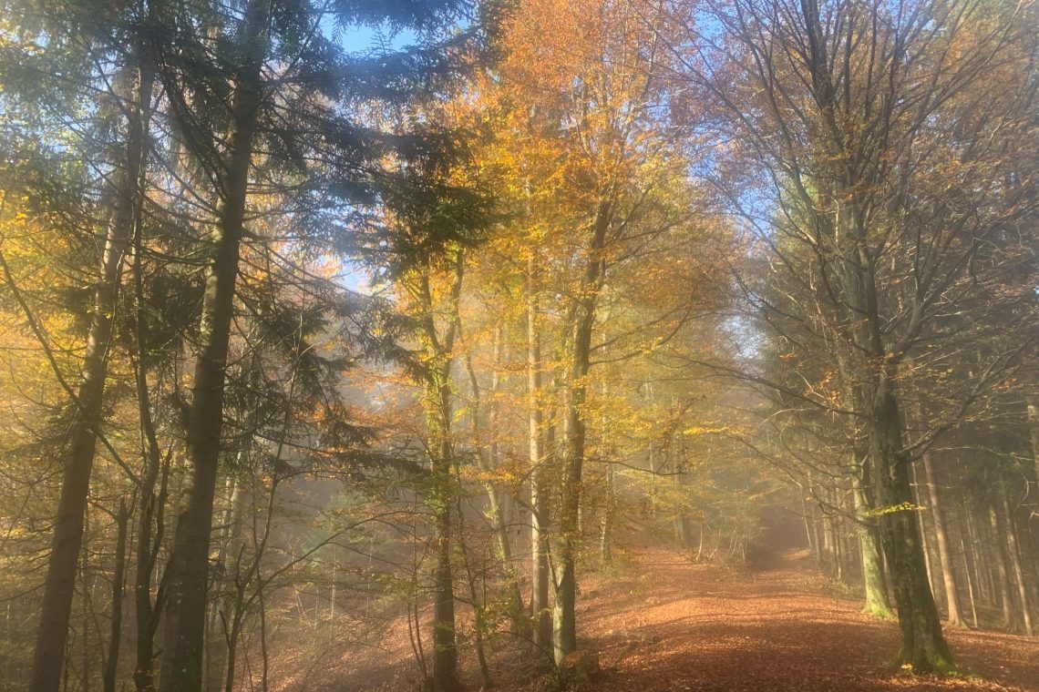 Pri vožnji v naravnem okolju ravnajmo odgovorno