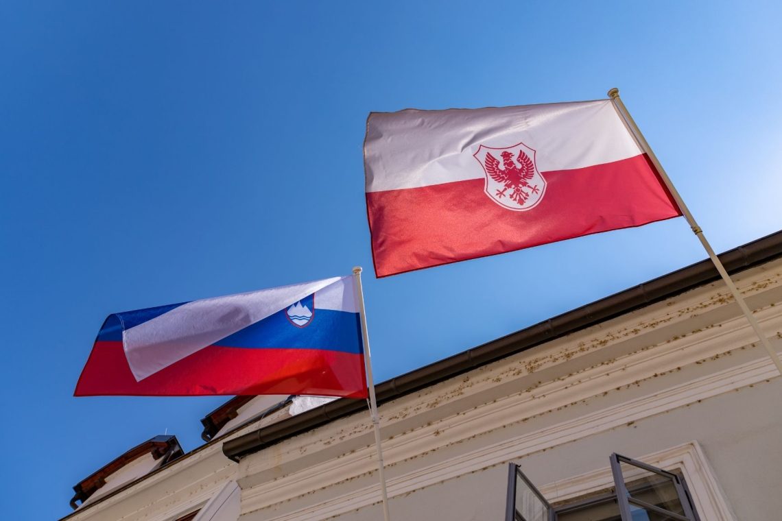 Kranjski mestni svet potrdil strateške projekte in zavrnil razrešitev direktorice ZD
