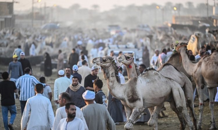 Muslimani po svetu začenjajo hadž v Meki
