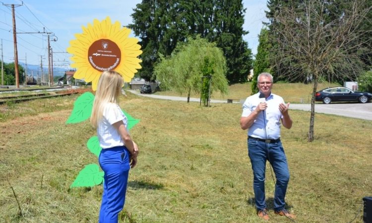Sončnice ob železnici kot simbol trajnostne prihodnosti