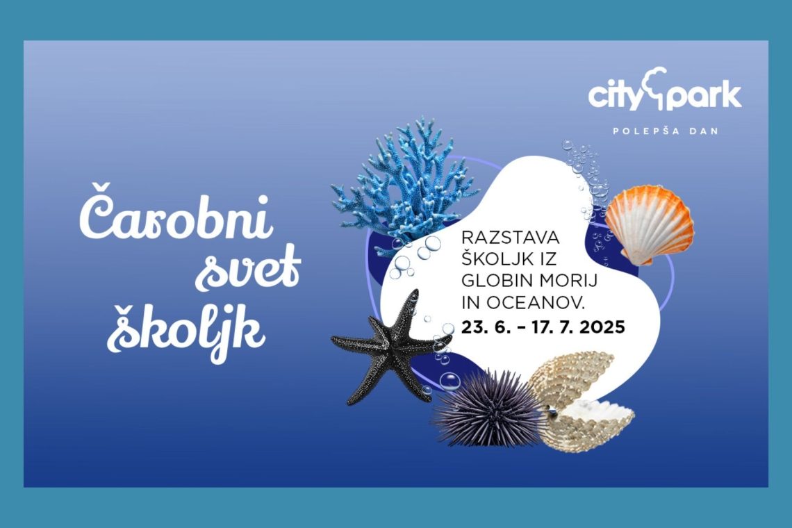 Čarobni svet školjk v Cityparku razkriva skrivnosti morskih globin