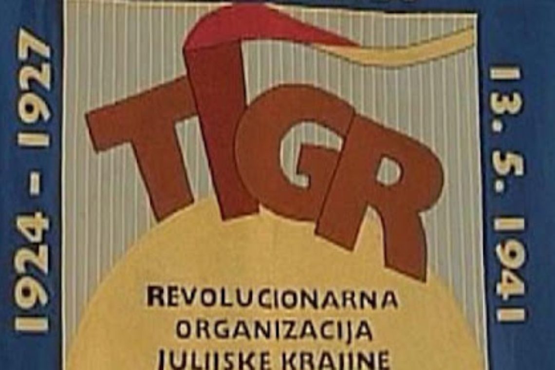Leto 2027 bo posvečeno organizaciji Tigr