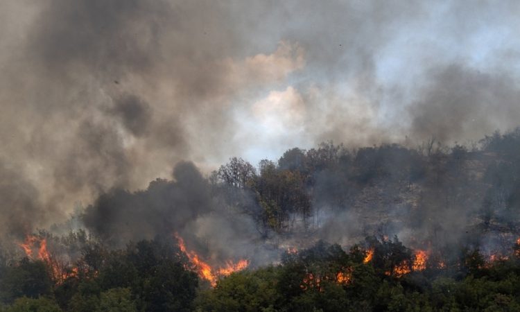 V Srbiji letos rekordno število požarov na prostem